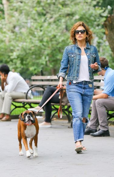 Jennifer-Lopez-mascota-Boxer