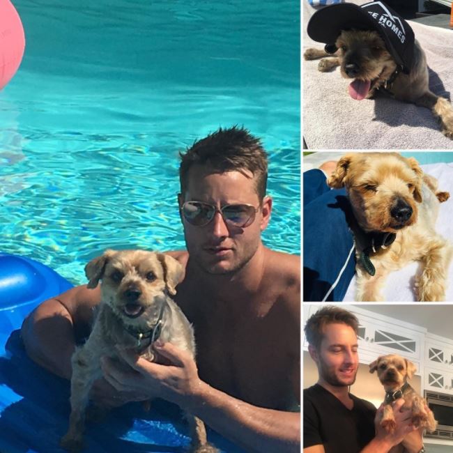 Justin-Hartley-con-su-perro-mascota