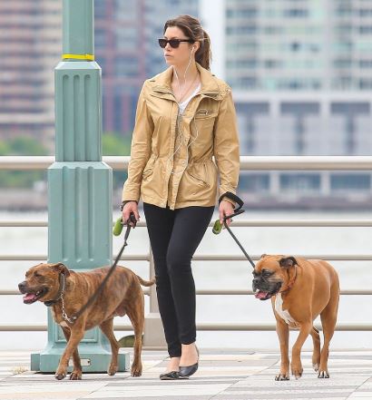 Las mascotas de Jessica Biel