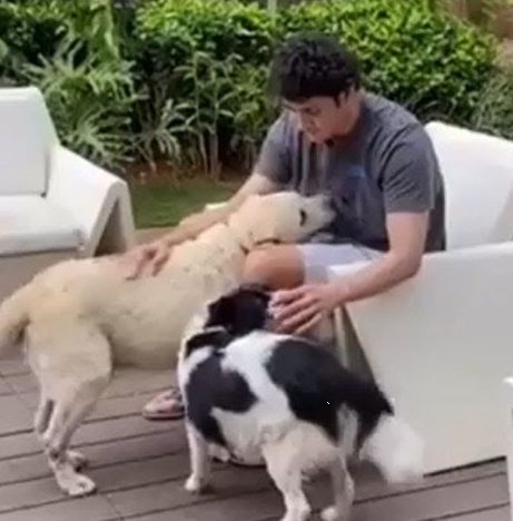 Mahesh Babu con su perro mascota